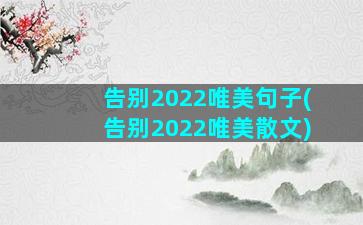 告别2022唯美句子(告别2022唯美散文)